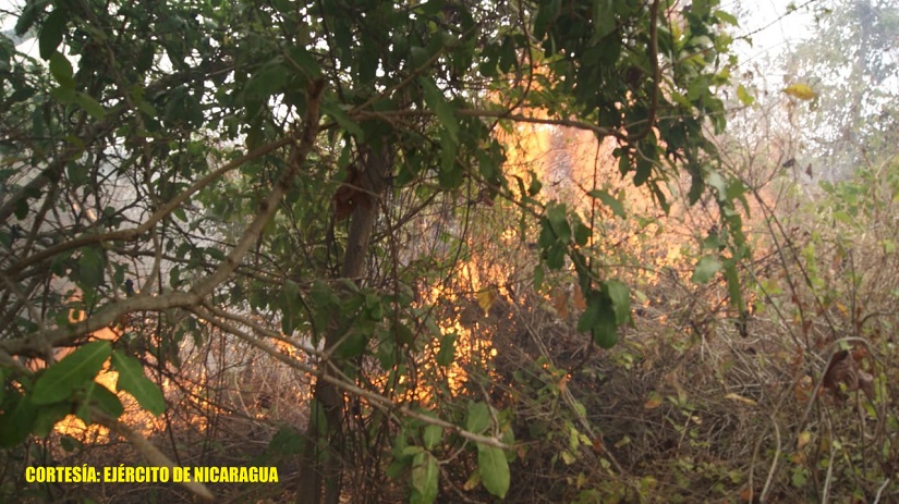 INCENDIO2